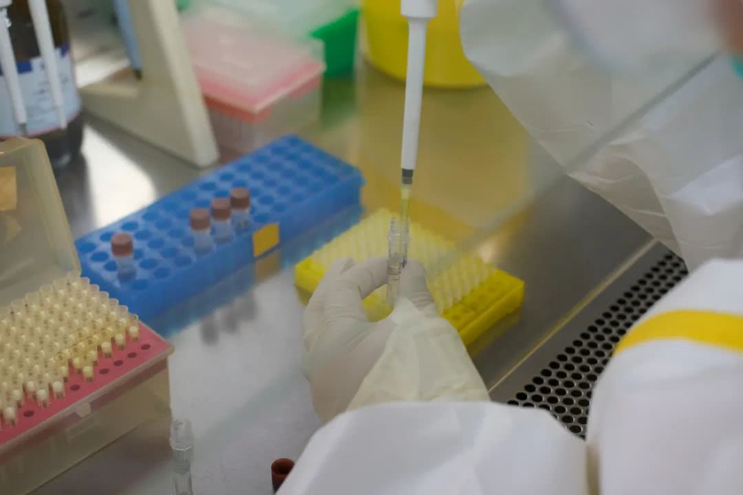 核酸檢測又降價！多地增設24小時檢測服務機構